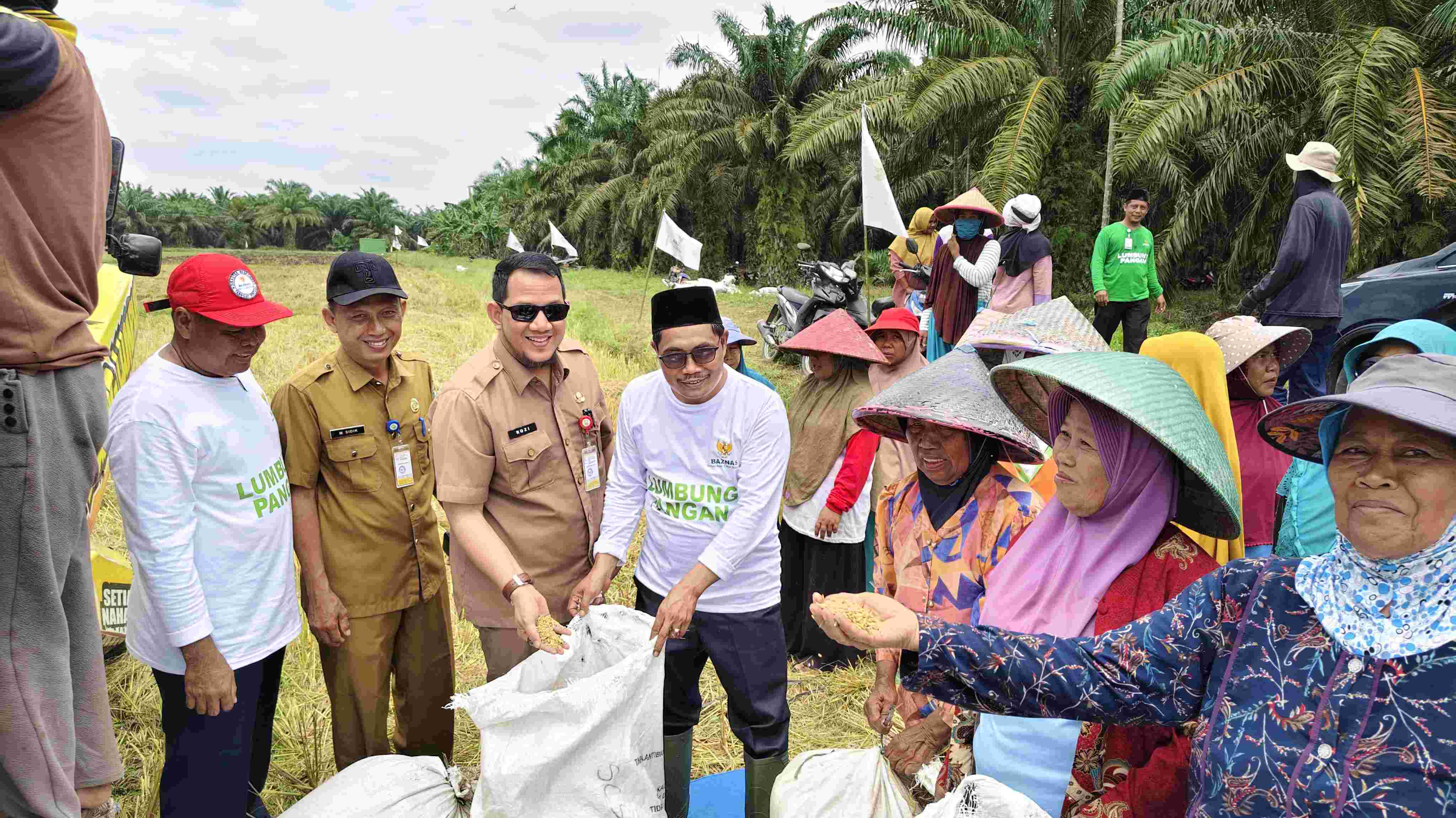 Gambar Artikel