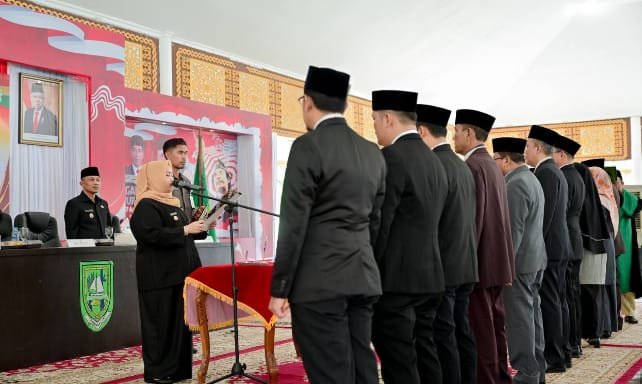 Gambar Artikel