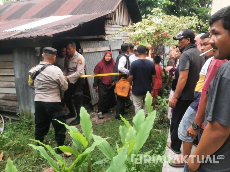 Gambar Artikel