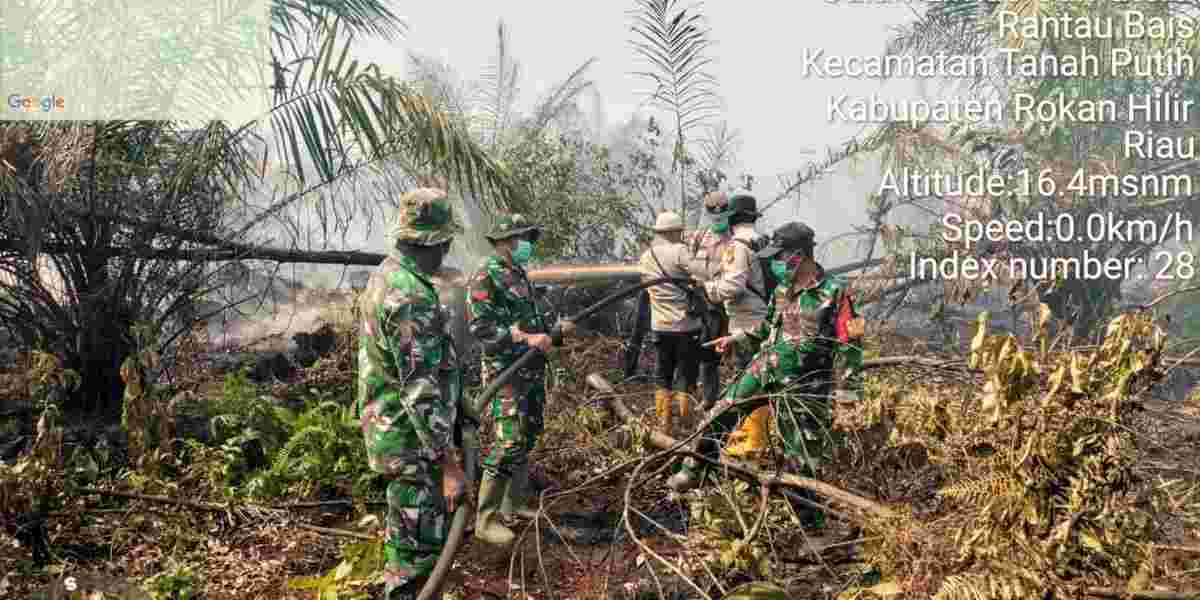 Gambar Artikel