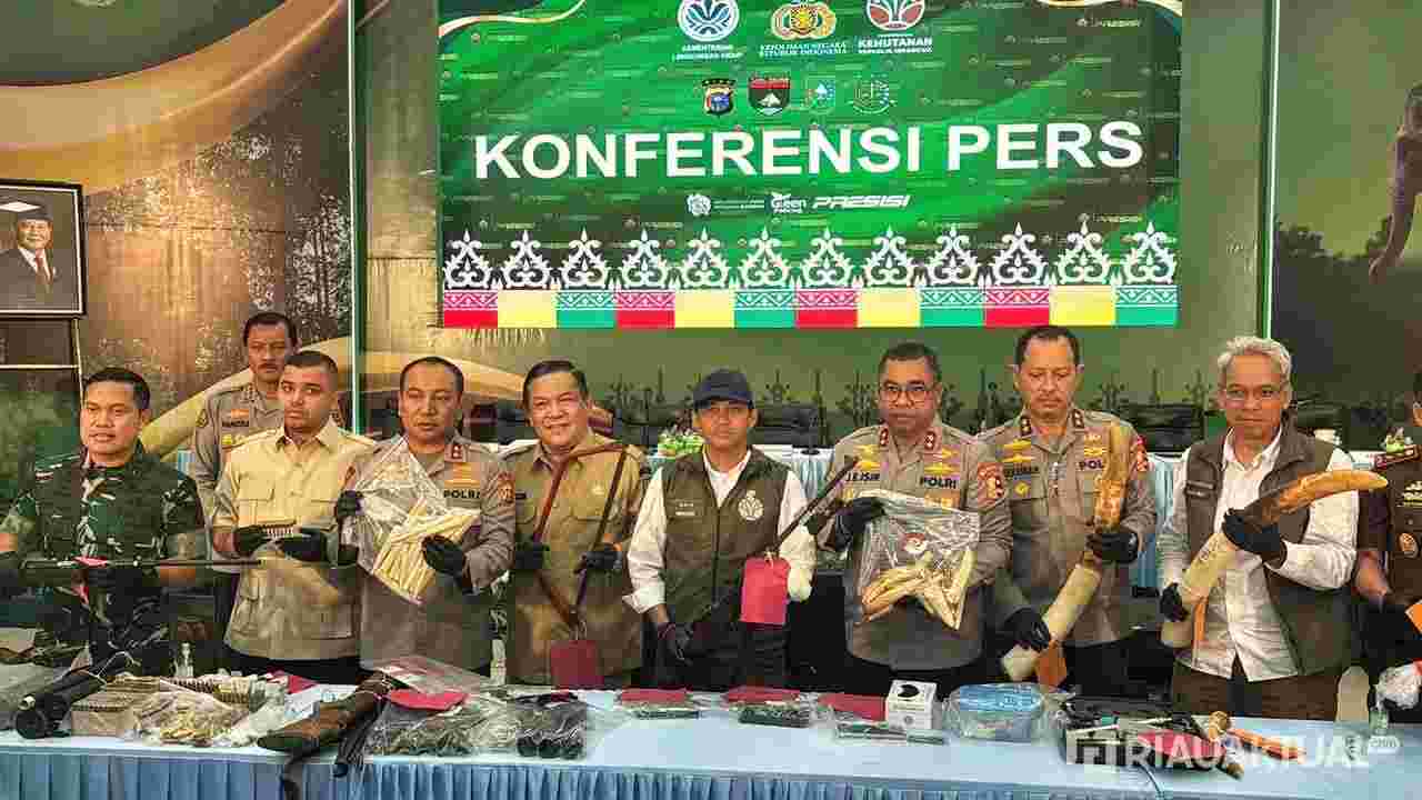 Gambar Artikel