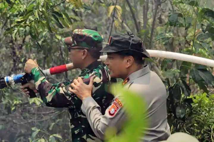 Gambar Artikel