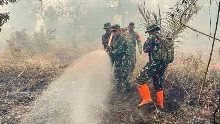 Gambar Artikel