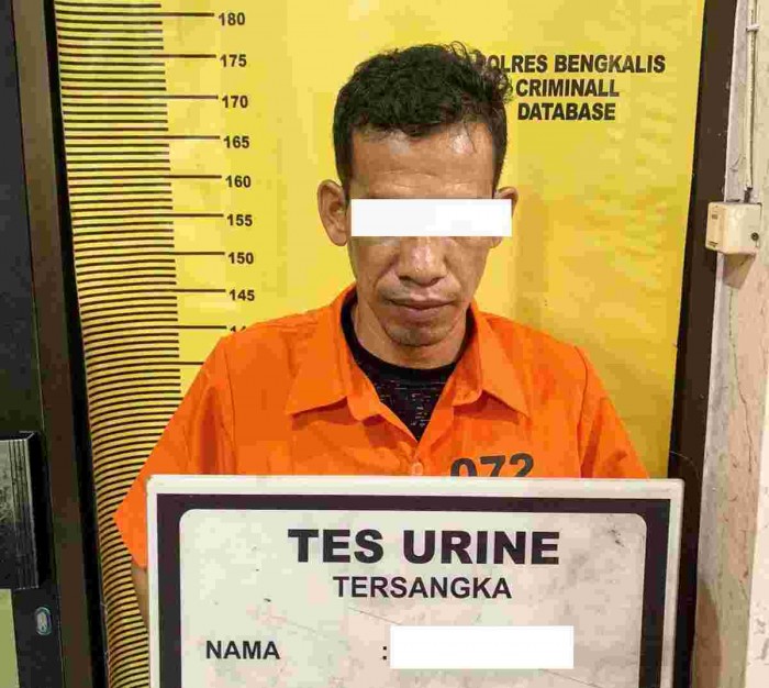 Gambar Artikel