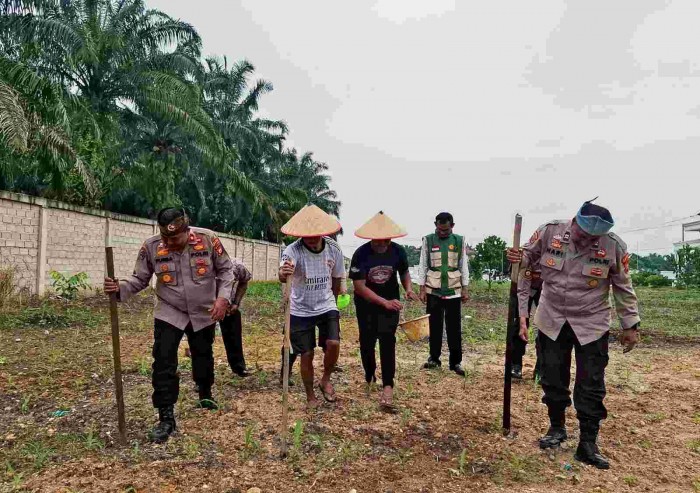 Gambar Artikel