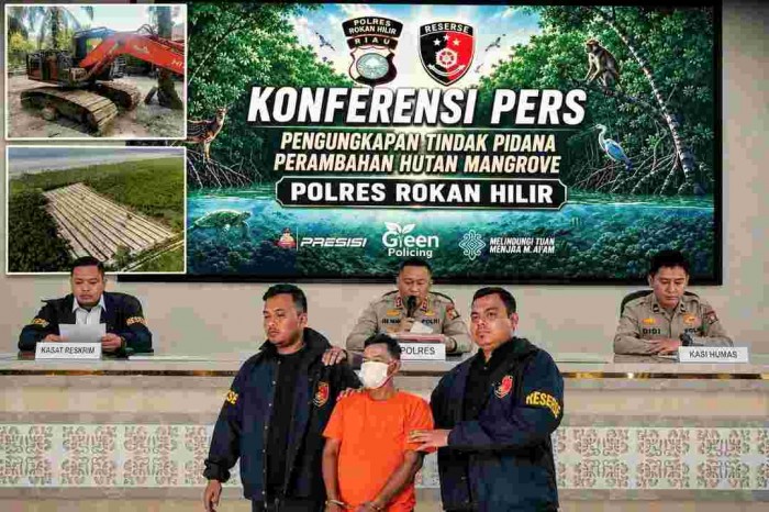 Gambar Artikel