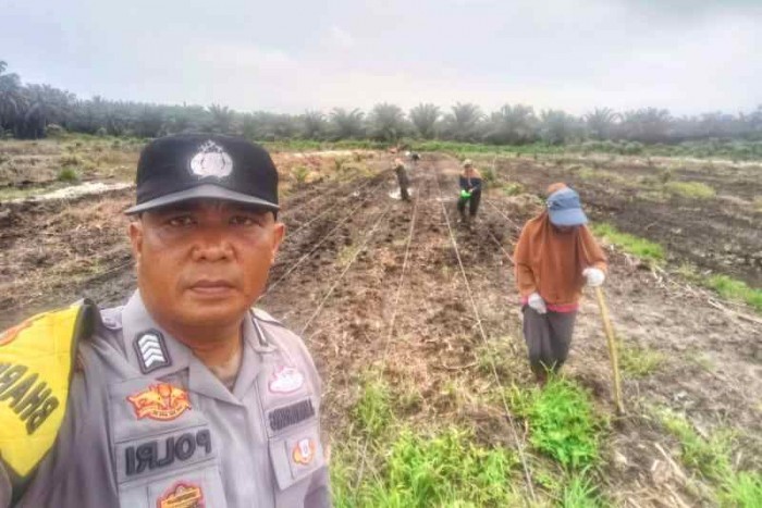 Gambar Artikel