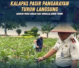 Gambar Artikel