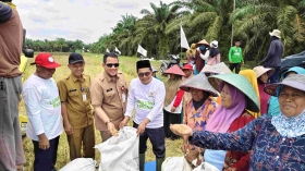 Gambar Artikel