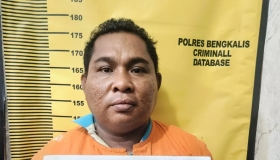 Gambar Artikel