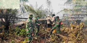 Gambar Artikel