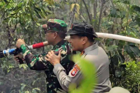 Gambar Artikel