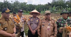 Gambar Artikel