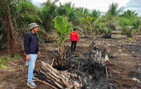 Gambar Artikel