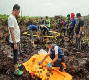 Gambar Artikel