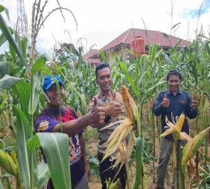 Gambar Artikel