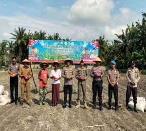 Gambar Artikel