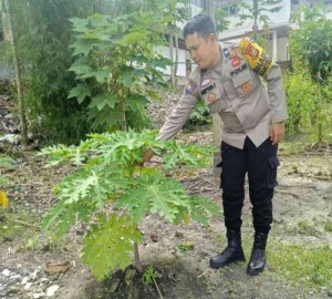 Gambar Artikel