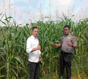 Gambar Artikel