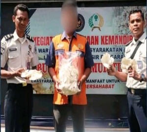 Gambar Artikel