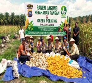 Gambar Artikel