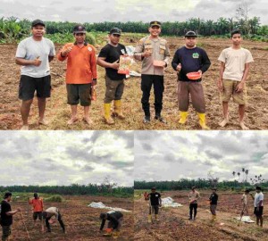 Gambar Artikel