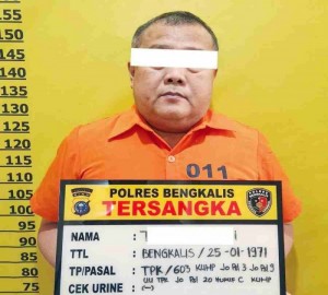 Gambar Artikel