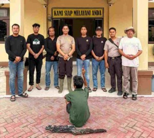 Gambar Artikel