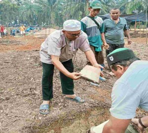 Gambar Artikel