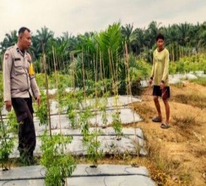 Gambar Artikel