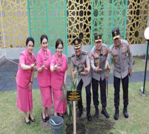 Gambar Artikel
