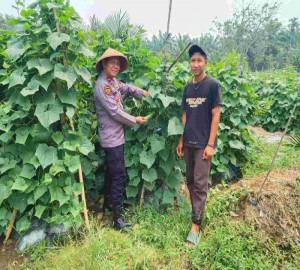 Gambar Artikel