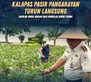 Gambar Artikel