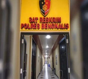 Gambar Artikel