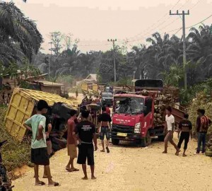Gambar Artikel