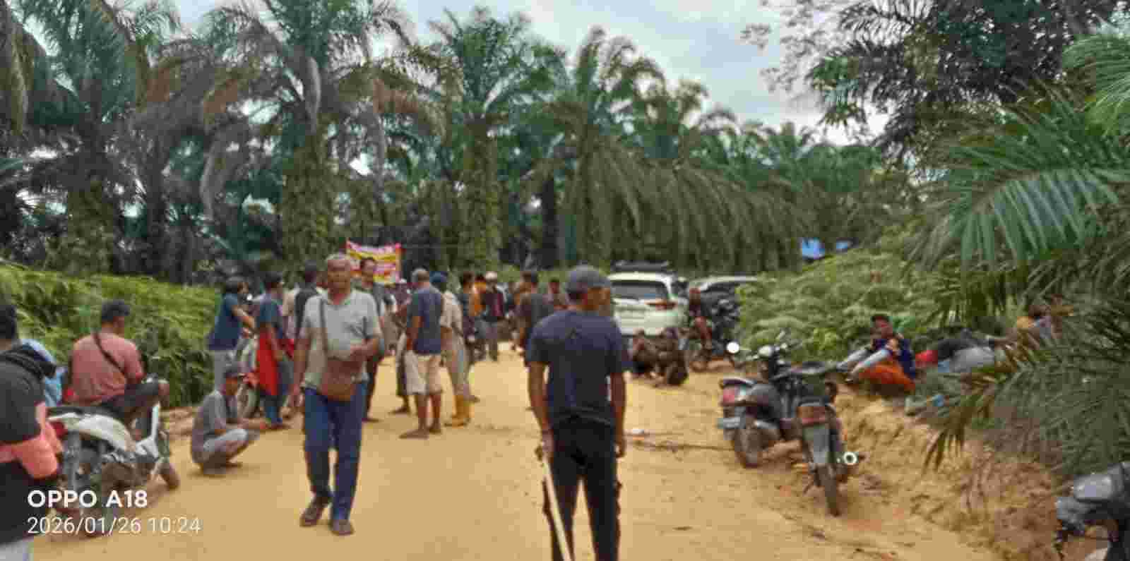 Tolak Penguasaan Lahan, Ribuan Petani di Inhu Turun ke Kebun yang Dicaplok PT Agrynas